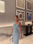 Suzy Maxi Dress | Women's Sleeveless Sequin Evening Gown